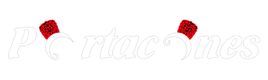 Logo Portacones